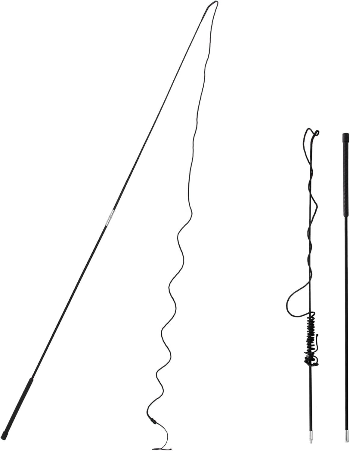 Training Lunge Whip